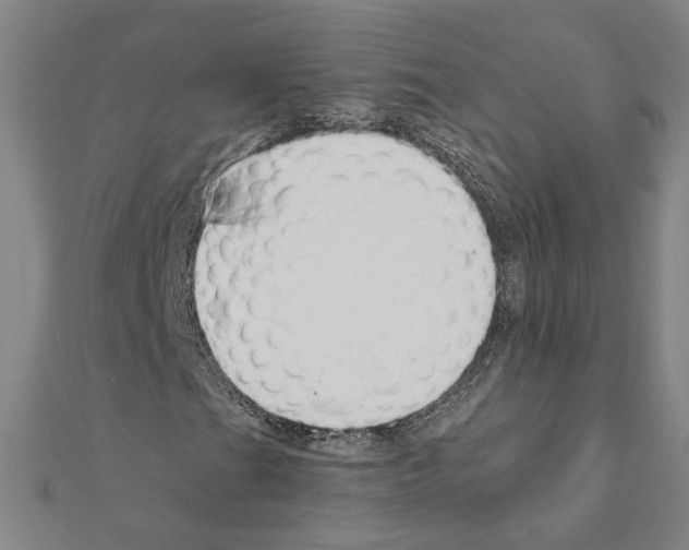 X0000111201201200908121102