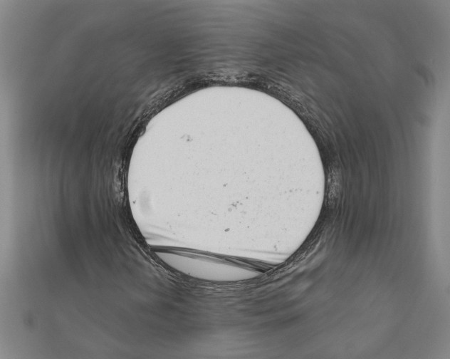 X0000111201202200908121102