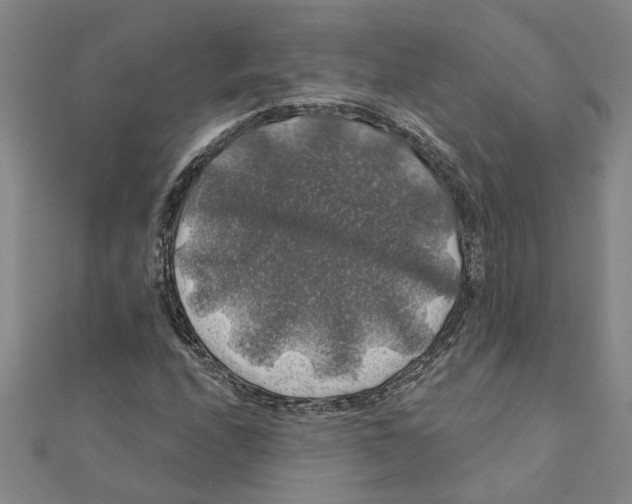 X0000111201208200908121102