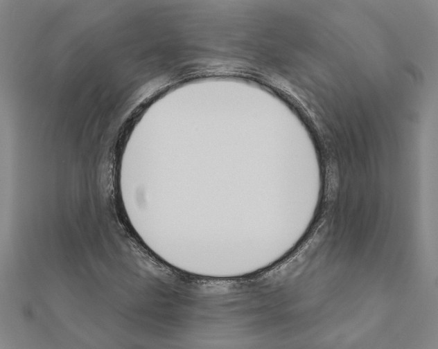 X0000111201211200908121102