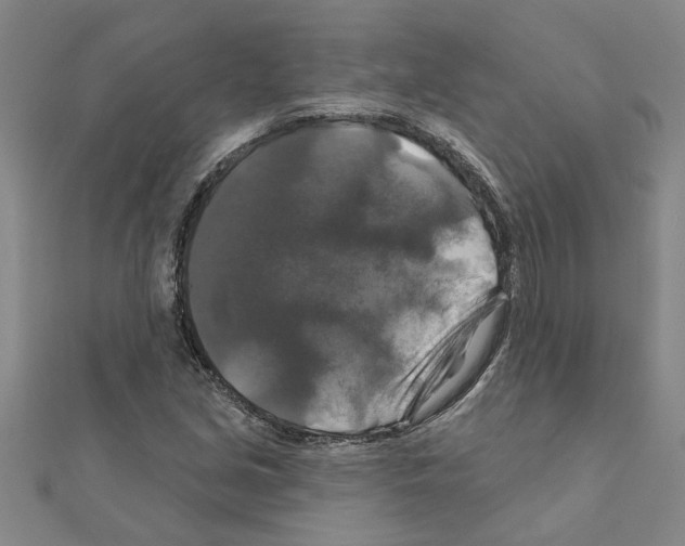 X0000111201213200908121102