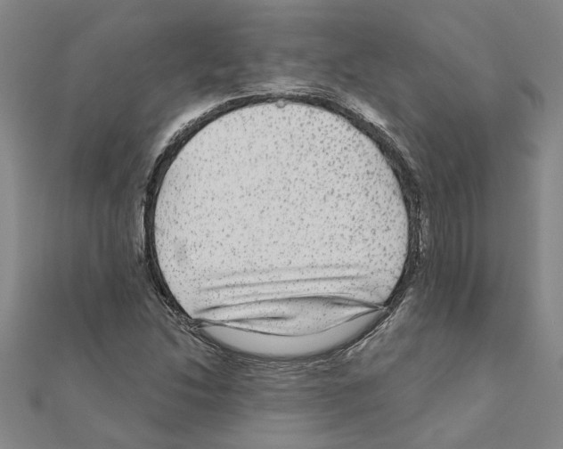 X0000111201214200908121102