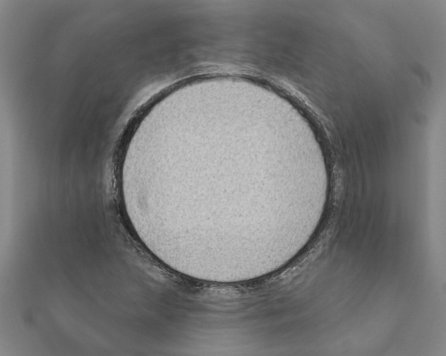 X0000111201215200908121102