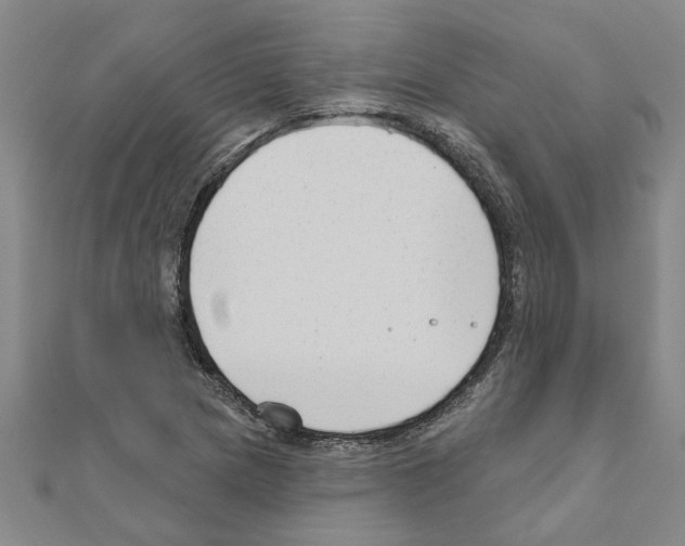 X0000111201217200908121103