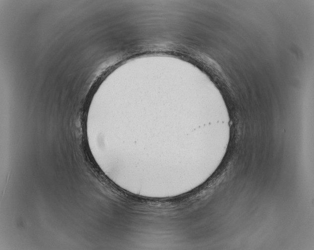 X0000111201218200908121103