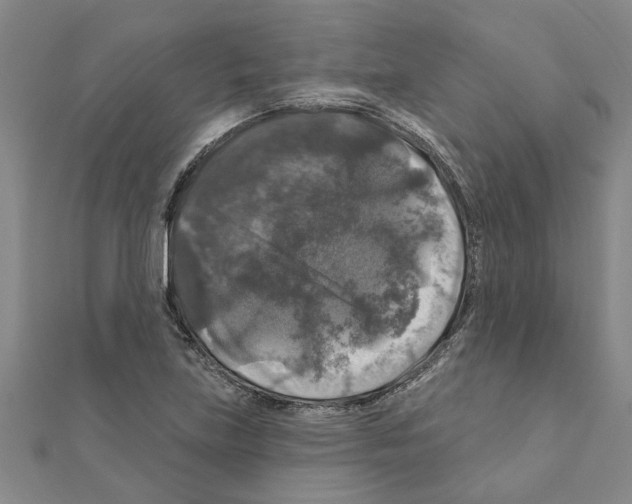 X0000111201219200908121103