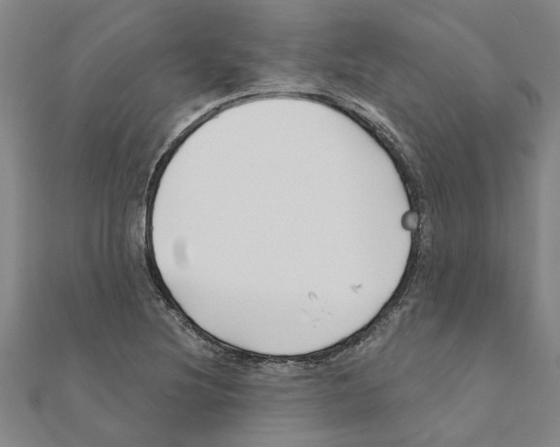 X0000111201220200908121103