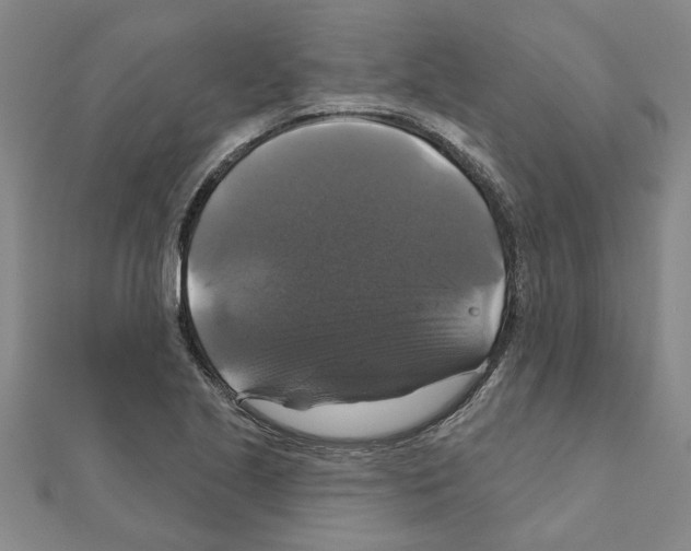 X0000111201221200908121103