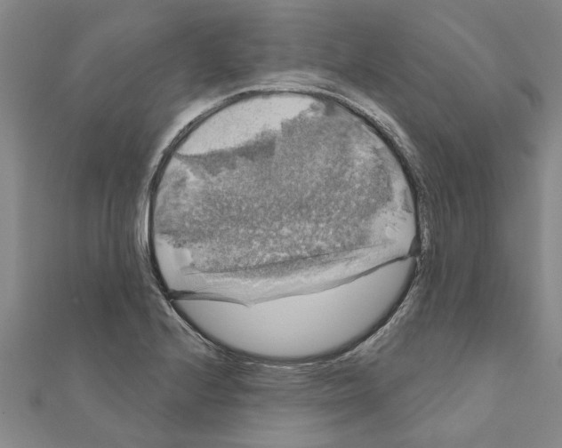 X0000111201224200908121103