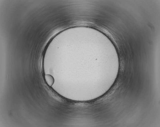 X0000111201227200908121103