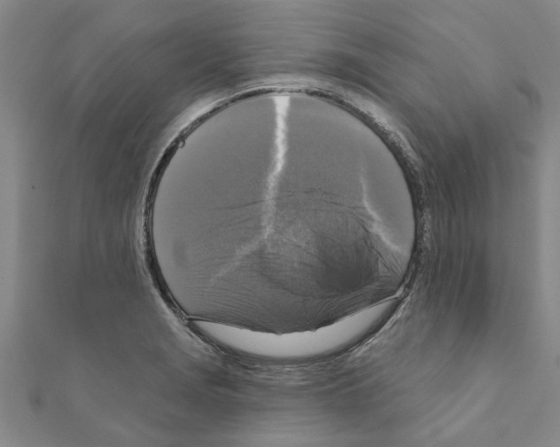 X0000111201229200908121103