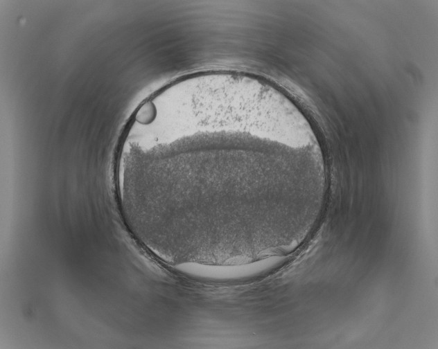 X0000111201230200908121103