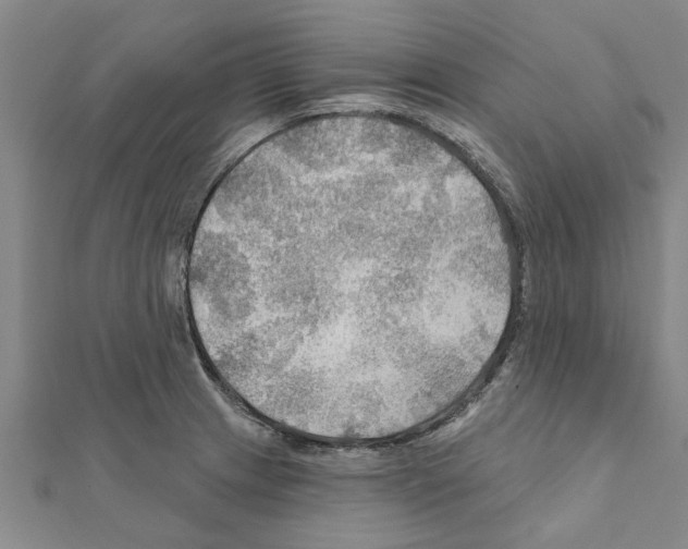 X0000111201233200908121103