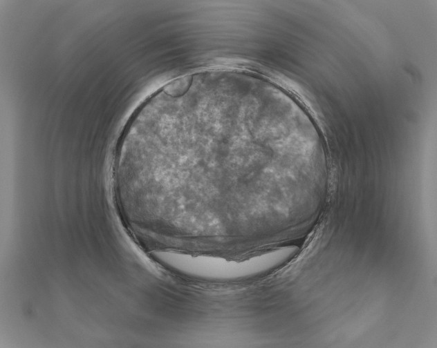 X0000111201235200908121103