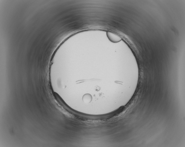 X0000111201236200908121103