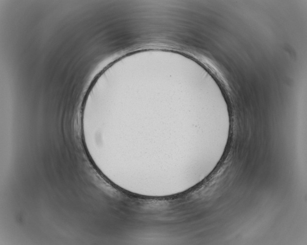 X0000111201238200908121103