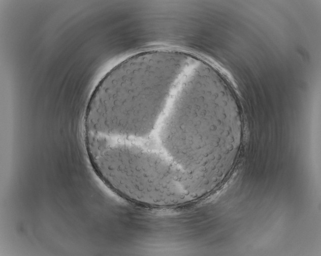 X0000111201239200908121103