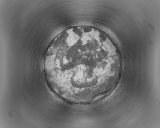 X0000111201241200908121103