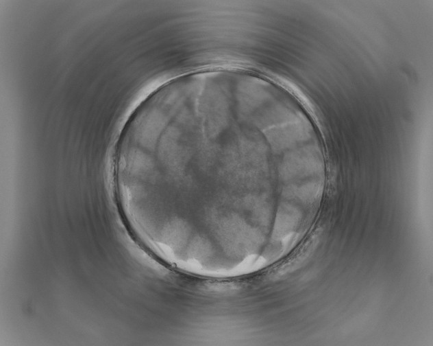 X0000111201243200908121103