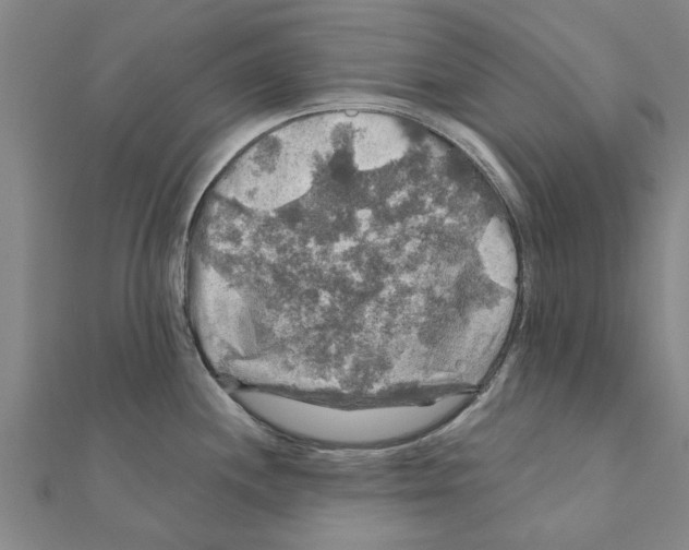 X0000111201244200908121103