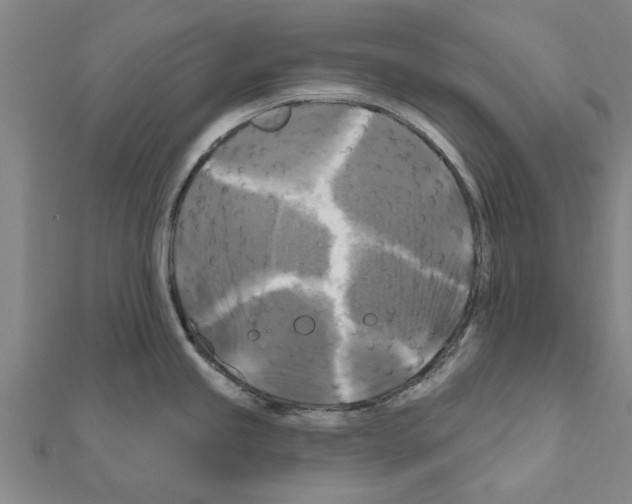 X0000111201245200908121103