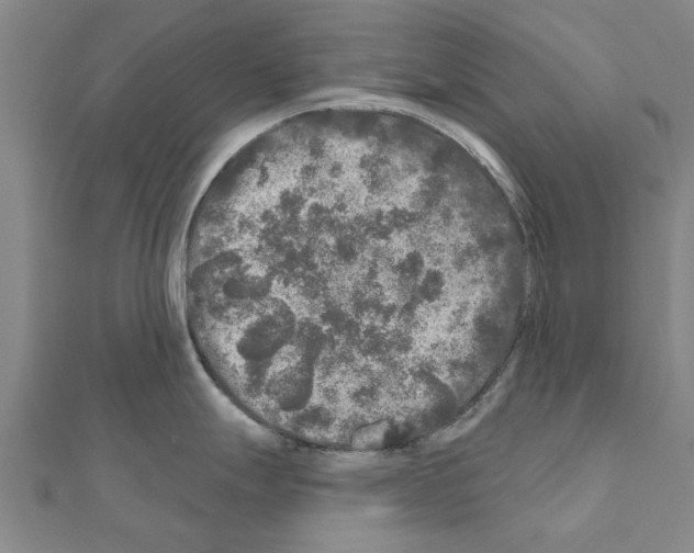 X0000111201247200908121103