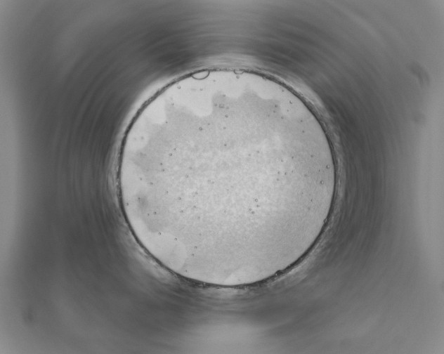 X0000111201248200908121103