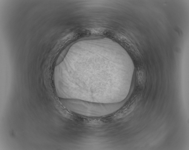 X0000111201249200908121102