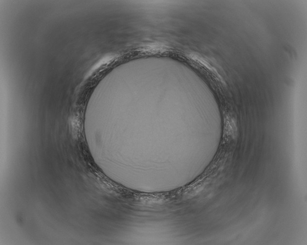 X0000111201254200908121102