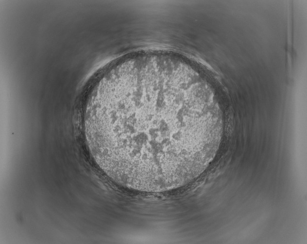 X0000111201255200908121102