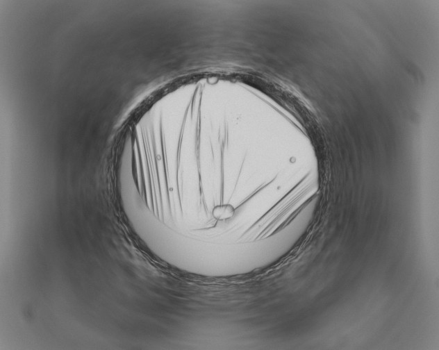 X0000111201256200908121102