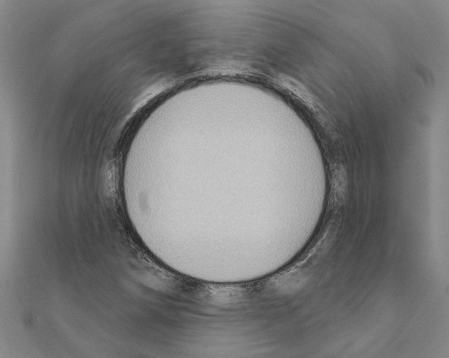 X0000111201258200908121102