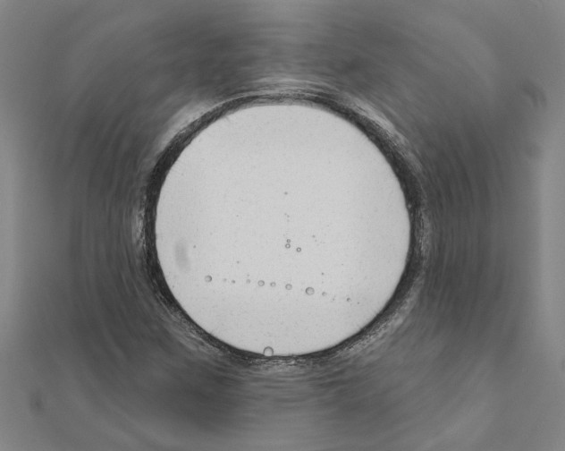 X0000111201259200908121102