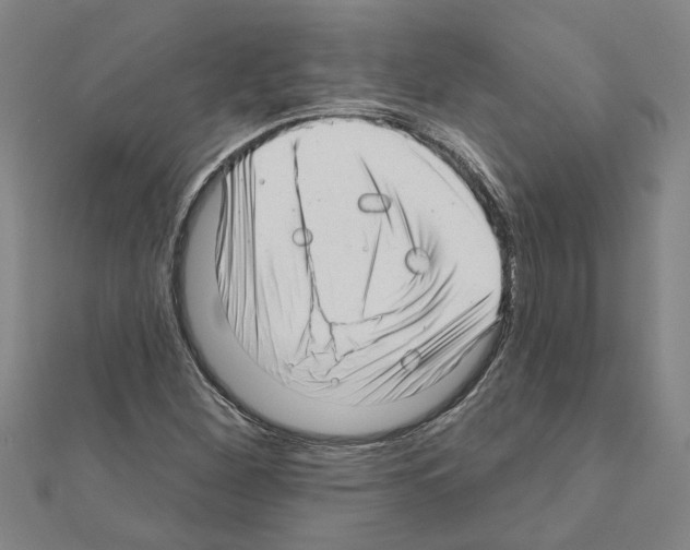 X0000111201260200908121102