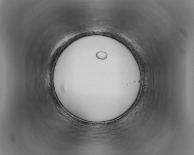 X0000111201262200908121102