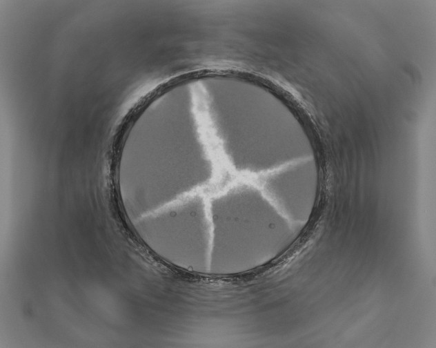 X0000111201263200908121102