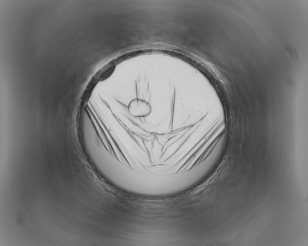 X0000111201264200908121102