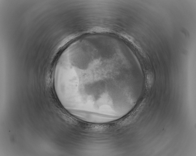 X0000111201266200908121102