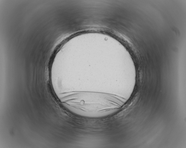 X0000111201267200908121102