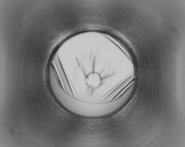 X0000111201269200908121102