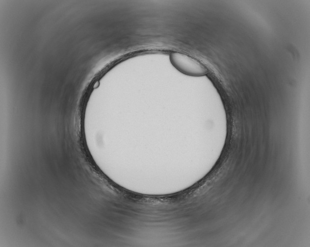 X0000111201270200908121102