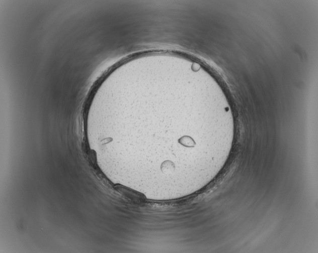 X0000111201271200908121102