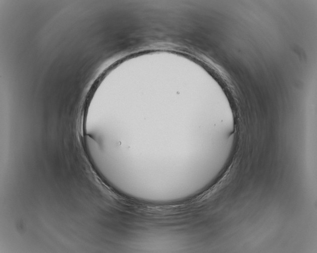 X0000111201272200908121102