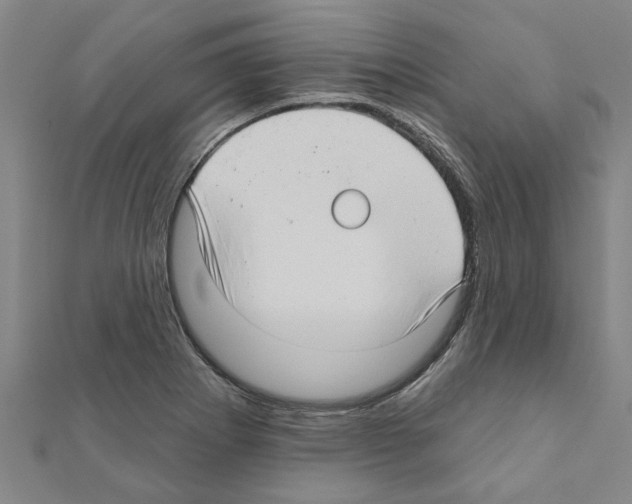 X0000111201273200908121102