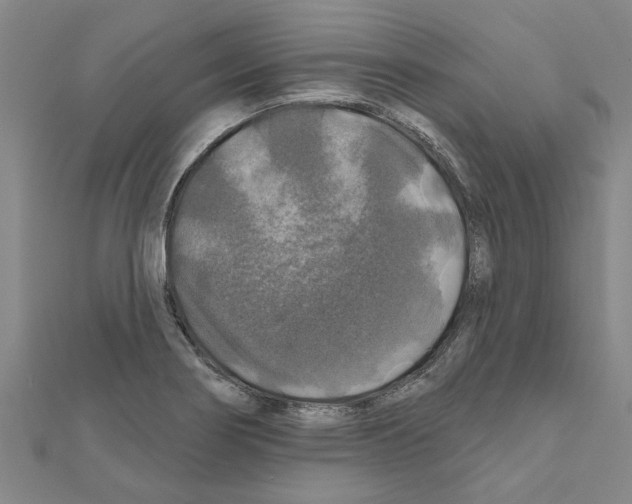 X0000111201274200908121102