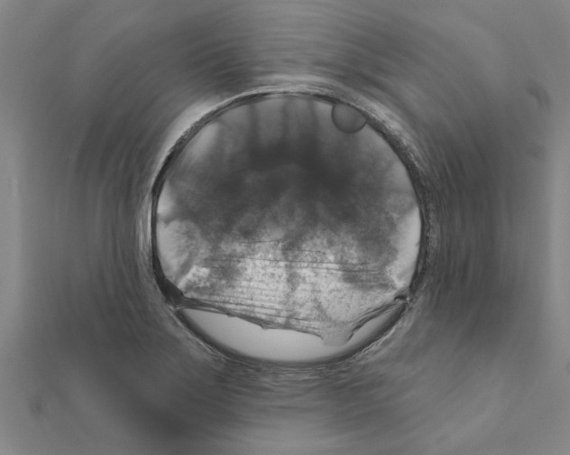 X0000111201275200908121102