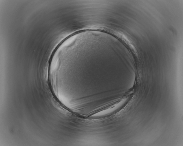 X0000111201276200908121102