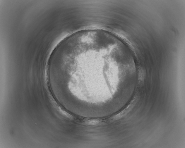 X0000111201278200908121102