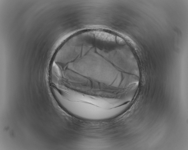 X0000111201279200908121102