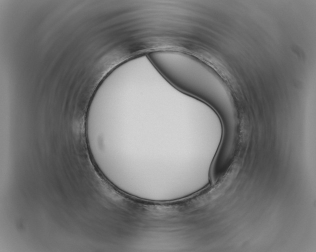 X0000111201281200908121102